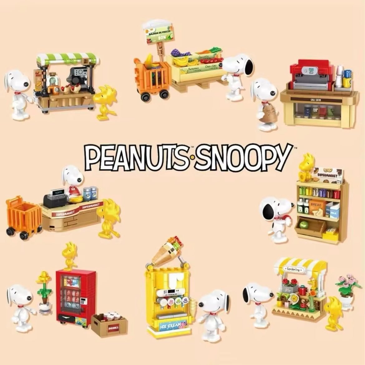 Penuts Snoopy Mystery Box